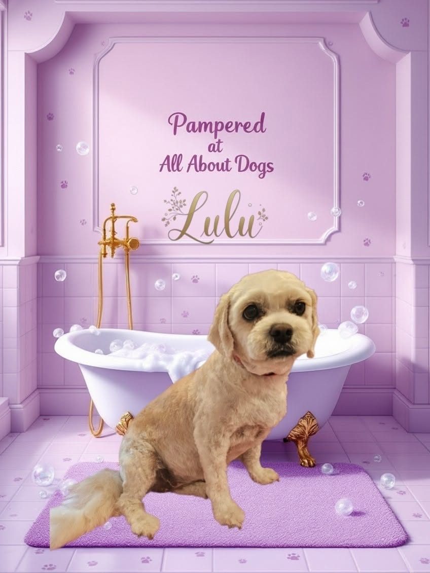 Lulu, a cream dog with a fresh trim, sitting beside a bath